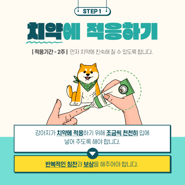 치약에 적응하기