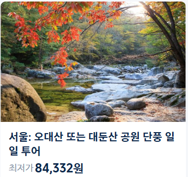 2025 단풍시기 완벽 가이드: 전국 단풍지도부터 화담숲, 서울 단풍명소까지!