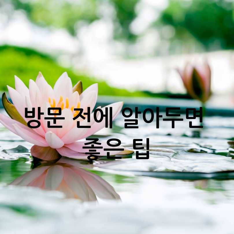 2025 양평 세미원 연꽃축제