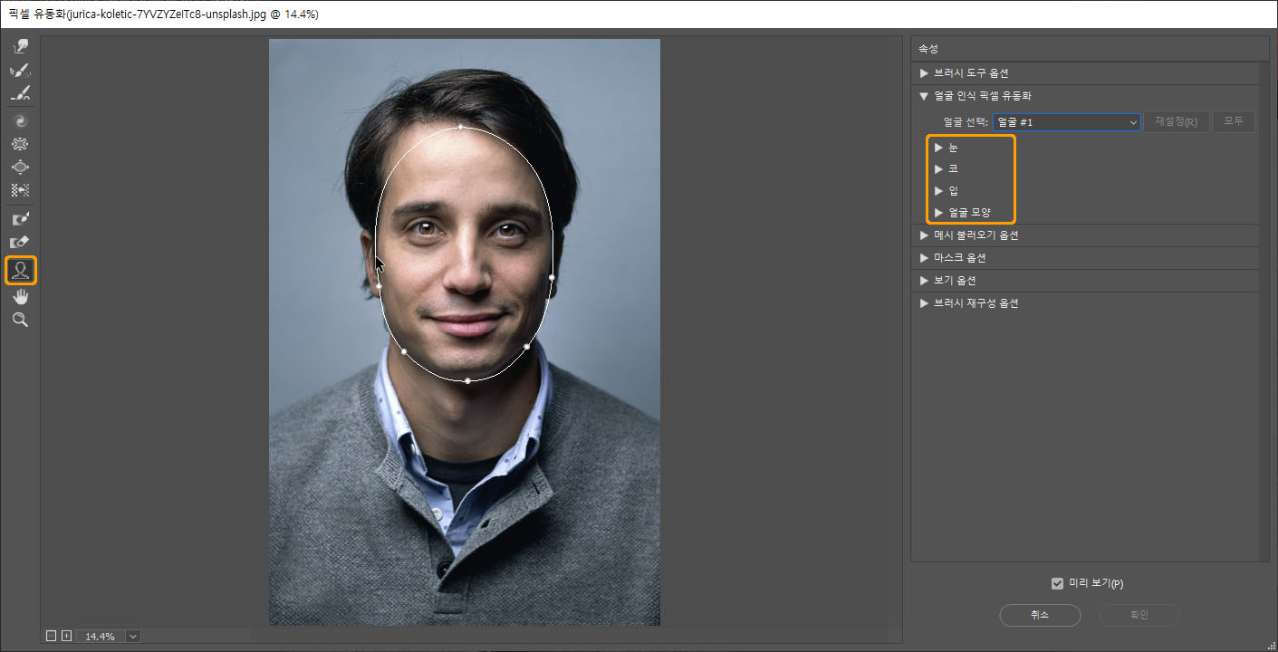 얼굴 도구 버튼과 핸들