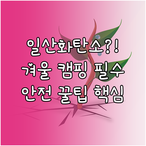 생존을 위한 겨울 캠핑 일산화탄소 안..