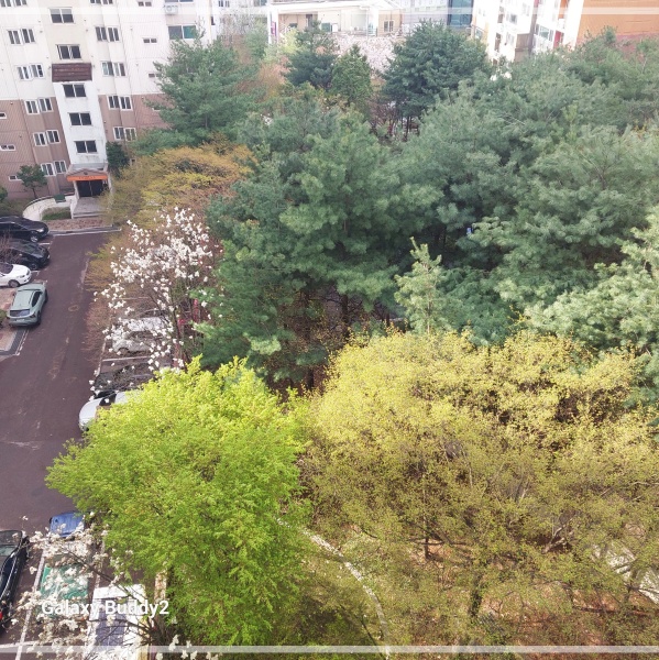 아파트에서 내려다본 풍경