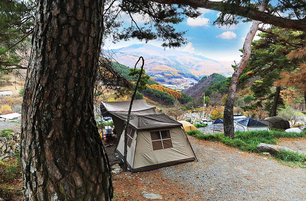 평창군 산너미목장 캠핑장 소개