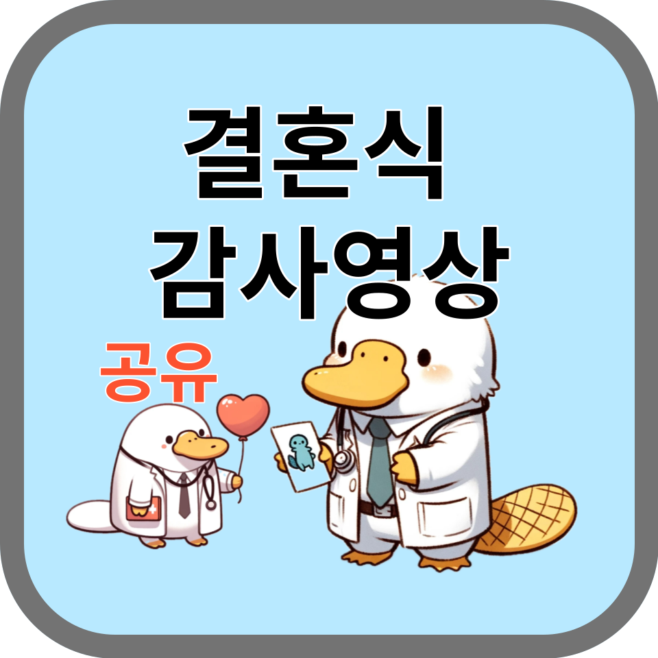 결혼식 감사영상 노래추천