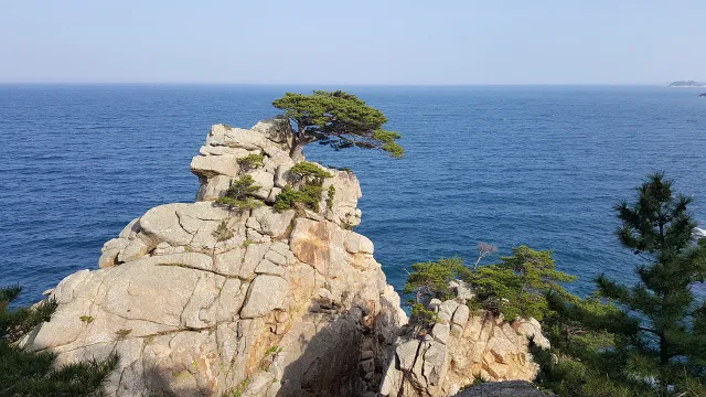하조대 경치