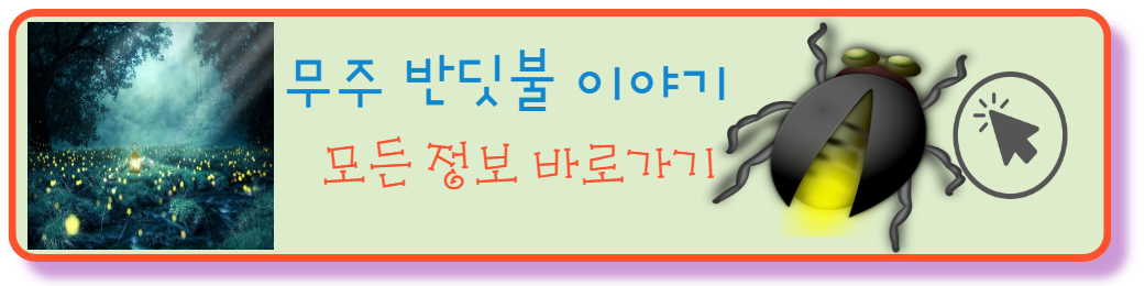 모든정보확인하기