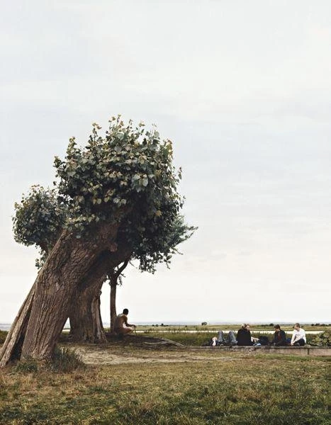 Beate Gütschow LS#13, 2001, printed 2002