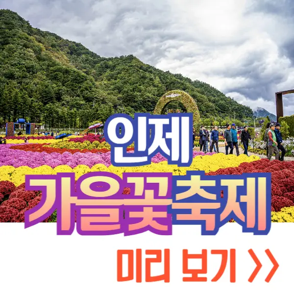 인제 가을꽃축제