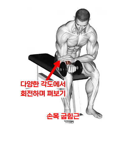 리스트 컬