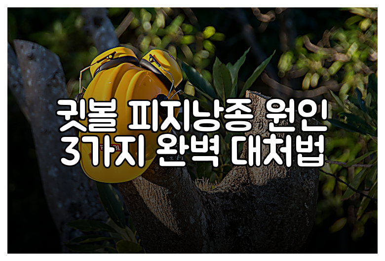 귓볼 피지낭종 원인 3가지 완벽 대처법