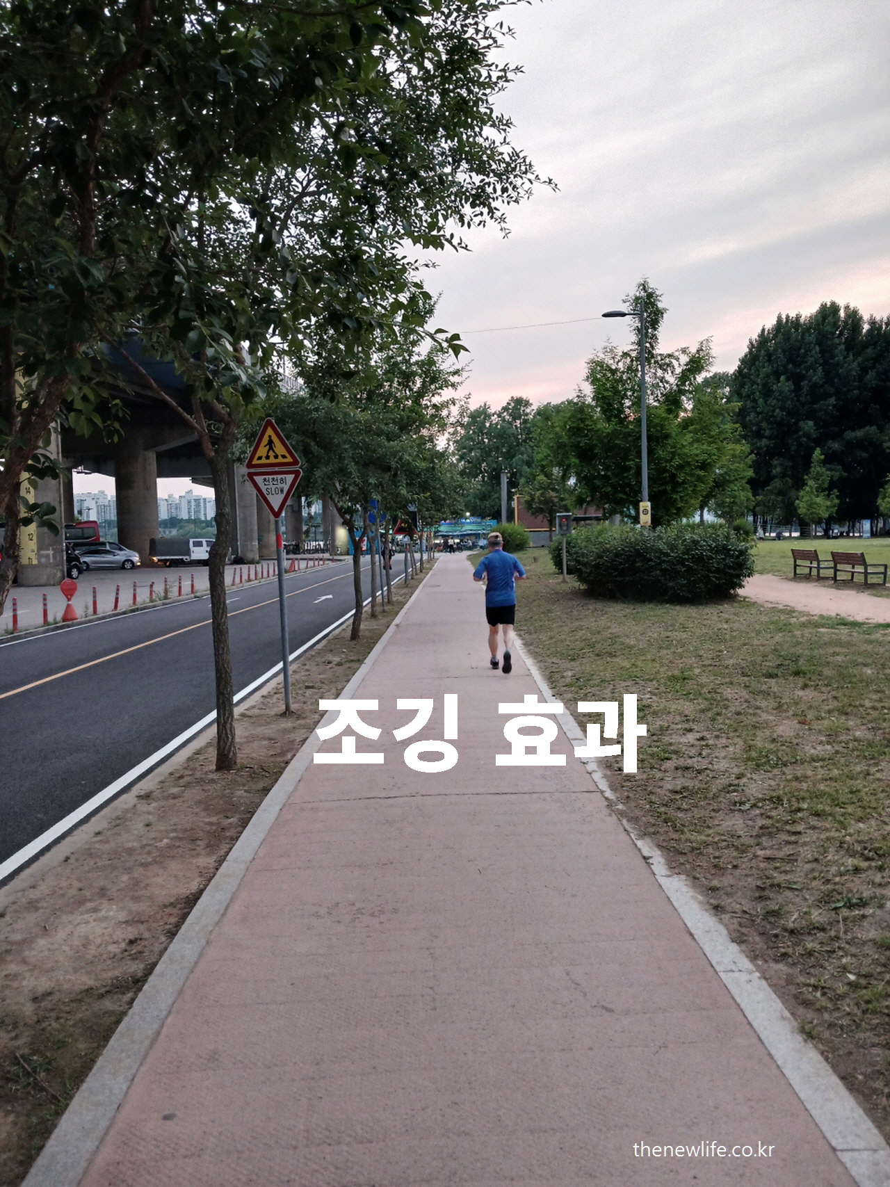 A person jogging alone on a quiet park road in the early morning-아침 시간, 공원 산책로를 혼자 조깅하는 사람의 뒷모습