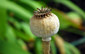 예금자 보호법 1억 시행시기 쉽게 정리 23