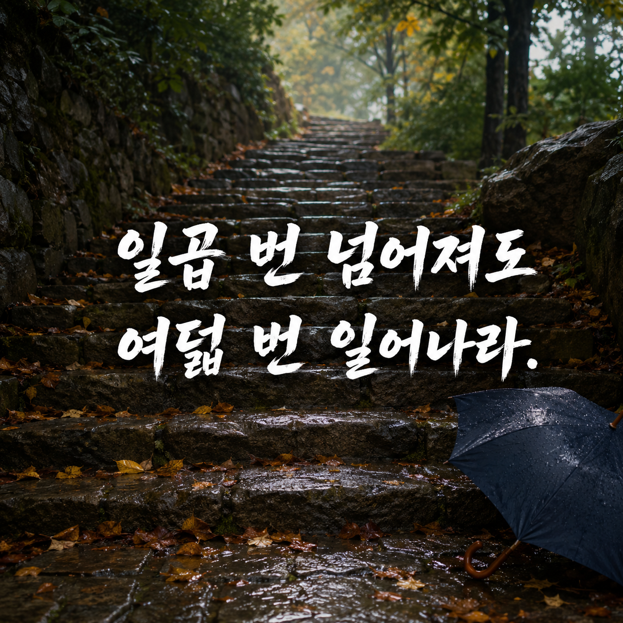 실패 명언 이미지 문구 다시 일어설 수 있는 좋은 글귀