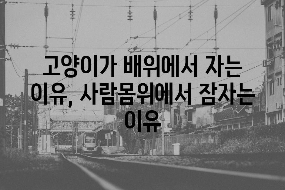 API 할당량 초과 오류 4