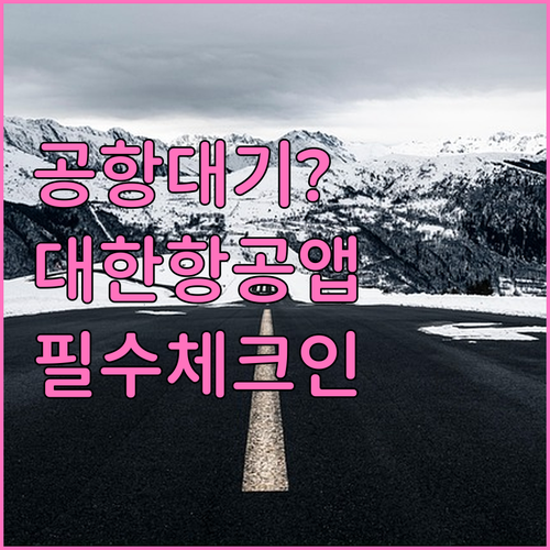 대한항공 앱으로 공항 대기 시간 줄이..