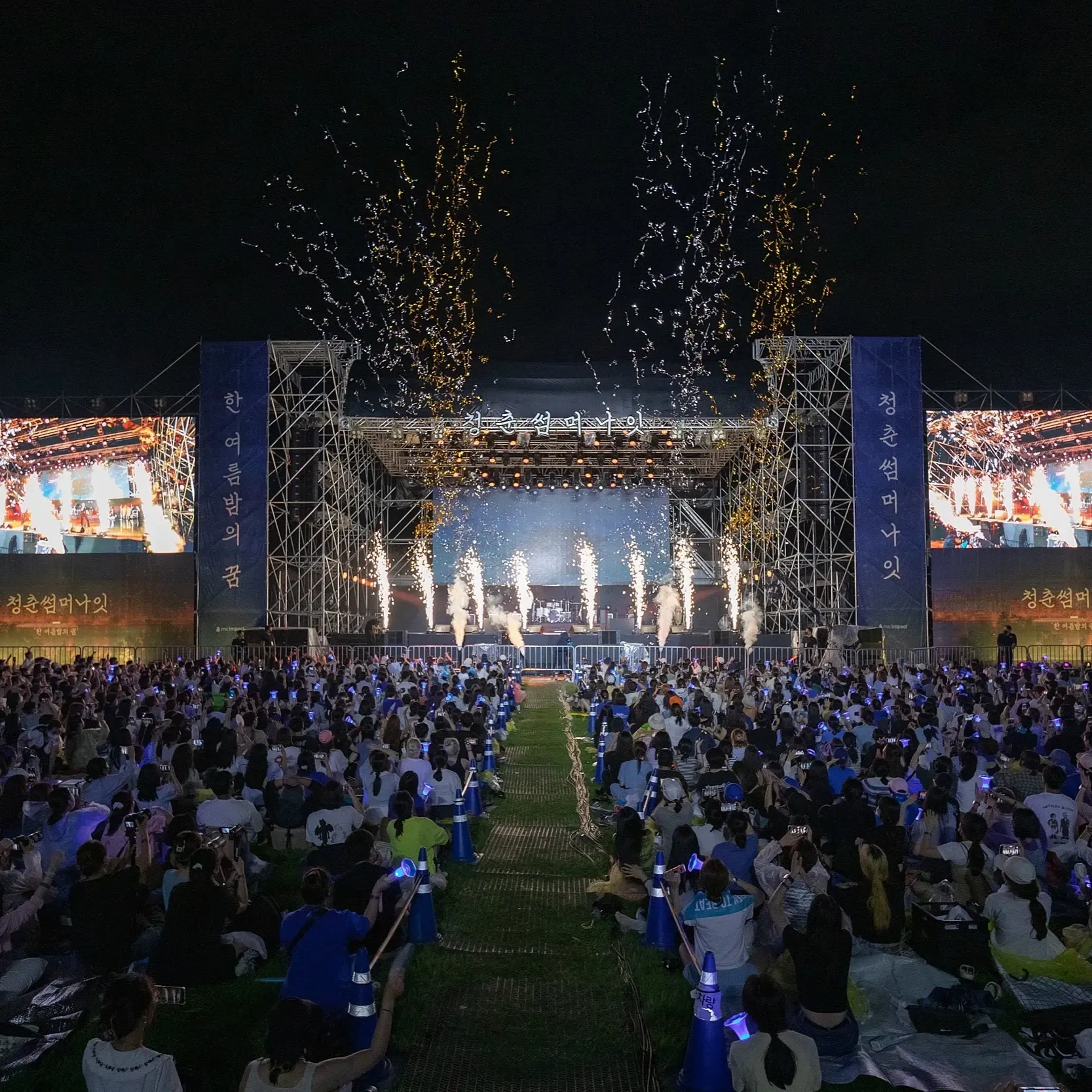 청춘썸머나잇 반려견