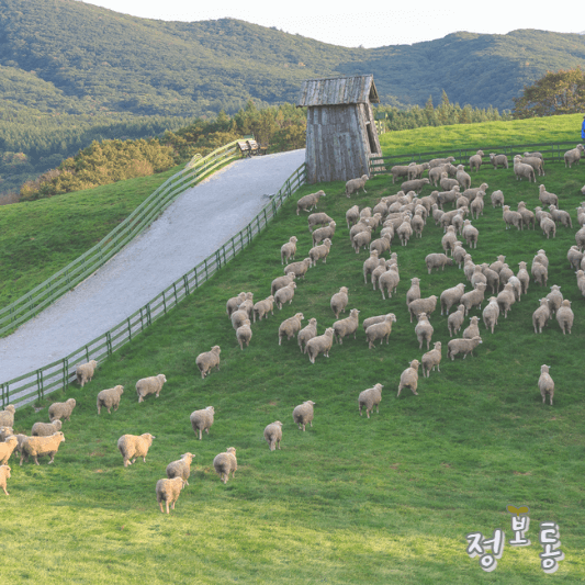 5월 가볼만한 곳