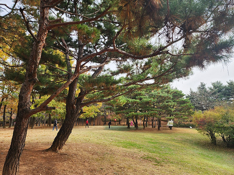 경기도 고양시 화정파크골프장 (화정 은빛공원 파크골프장)