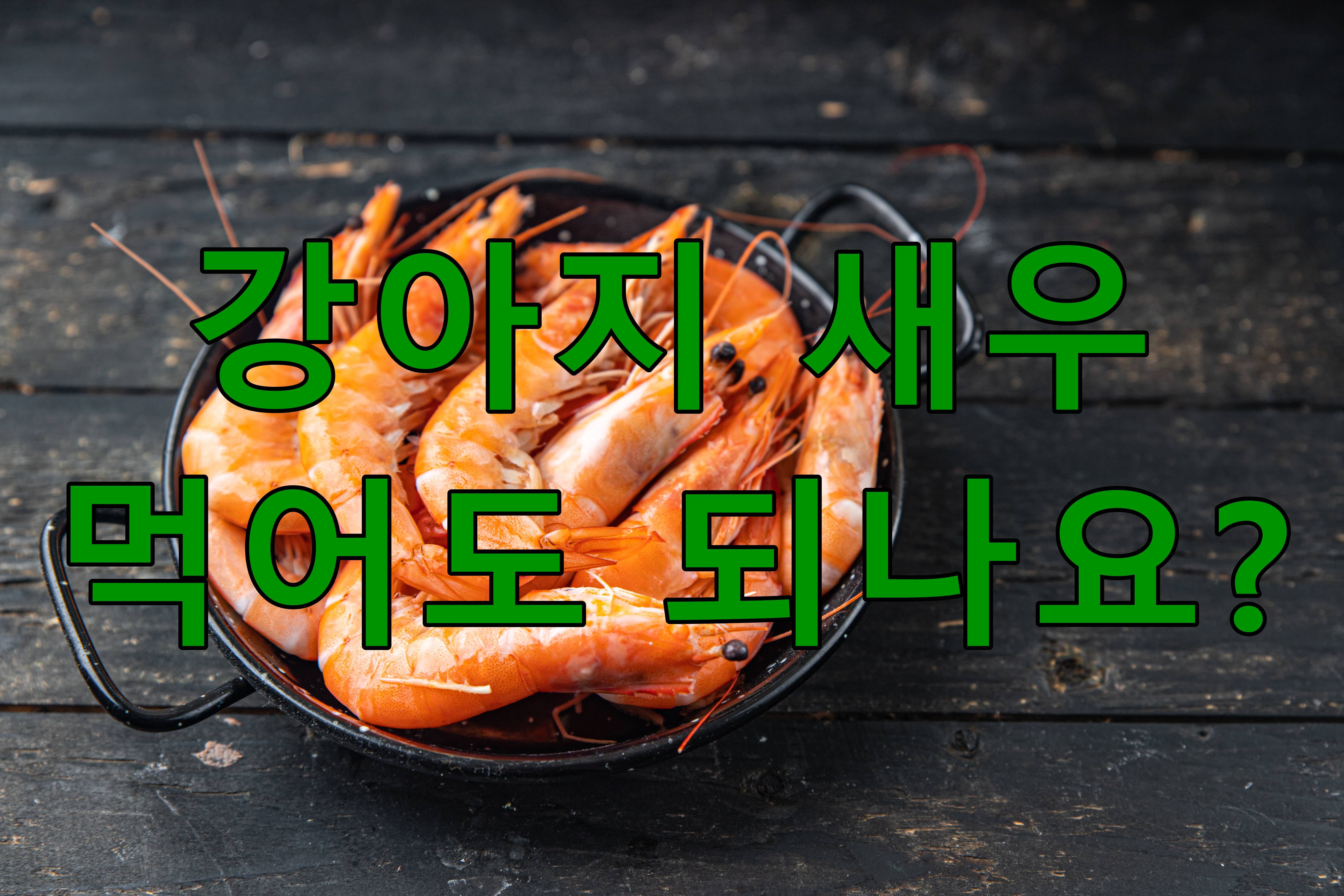 강아지 새우 먹어도 되나요