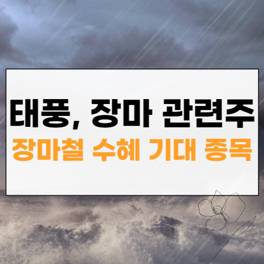 태풍, 장마 관련주 썸네일