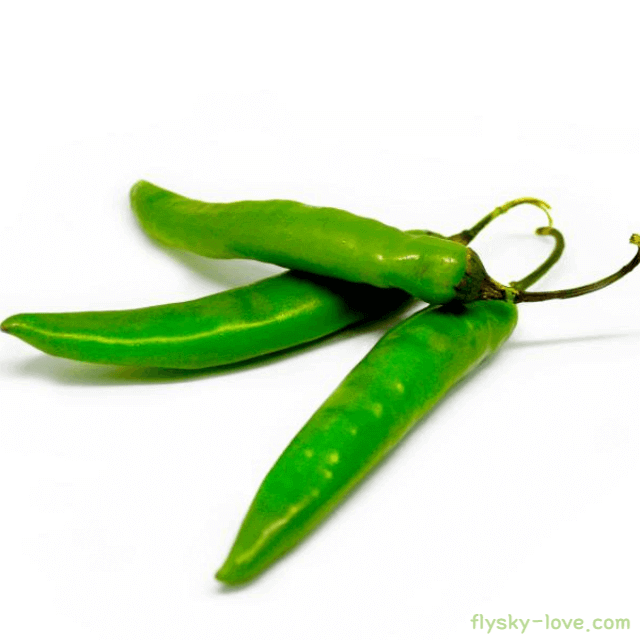 청양고추 고르는 법