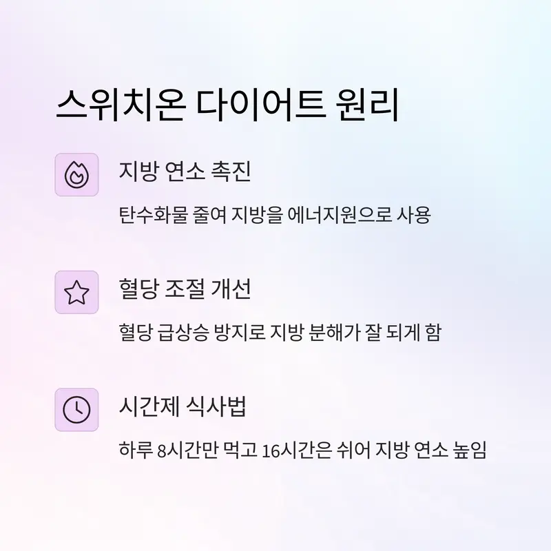 스위치온 다이어트 원리를 설명하는 텍스트형 인포그래픽: 지방 연소 촉진, 혈당 조절, 시간제 식사법