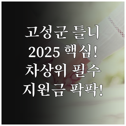 2025년 고성군 의료급여 차상위 의..
