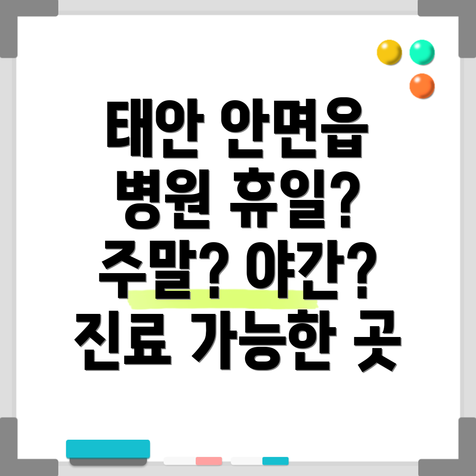 안면읍 휴일 병원