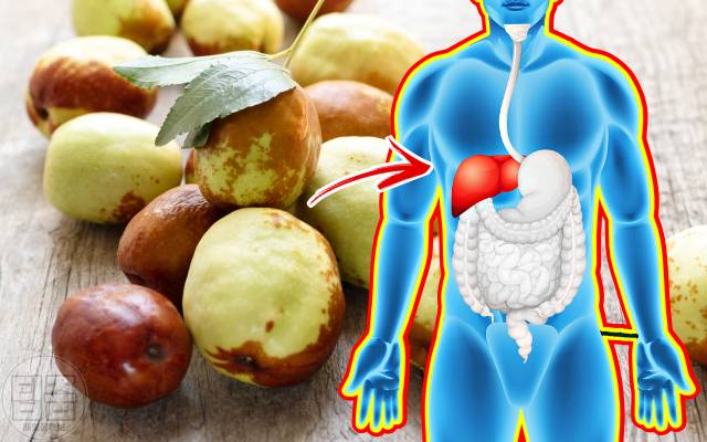 대추 매일 먹으면 3개 대추효능 간 해독