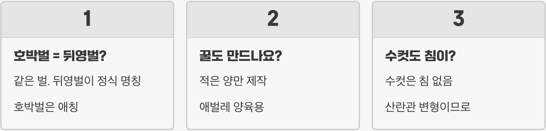호박벌은 왜 꿀벌보다 '윙윙' 소리가 더 클까? 그 소리의 비밀