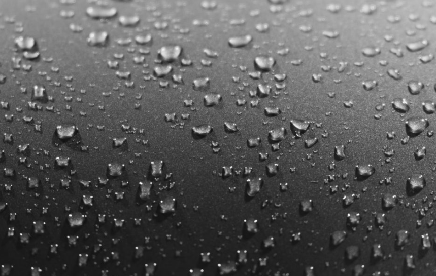 이슬이 맺혀있는 사진