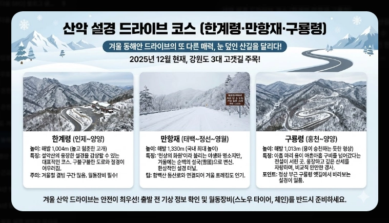 겨울 동해안 드라이브 코스 완벽 가이드