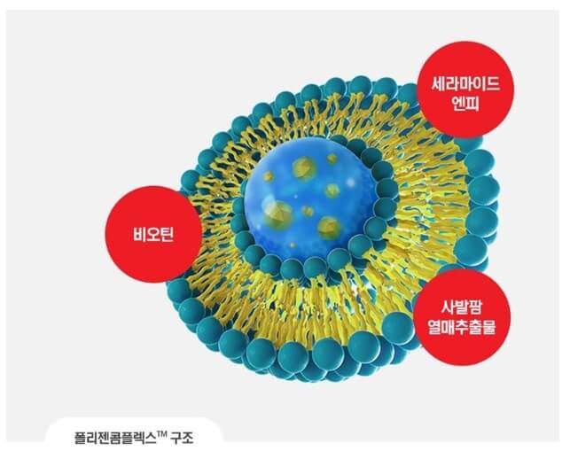 탈모샴푸 추천