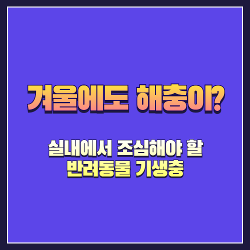 겨울에도 해충이? 실내에서 조심해야 할 반려동물 기생충