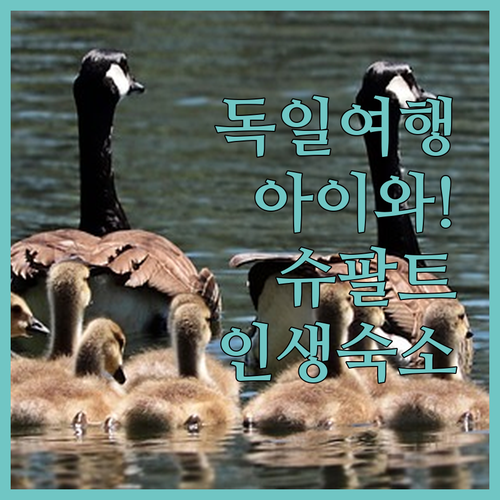 아이와 가기 좋은 독일 숙소 추천 아..