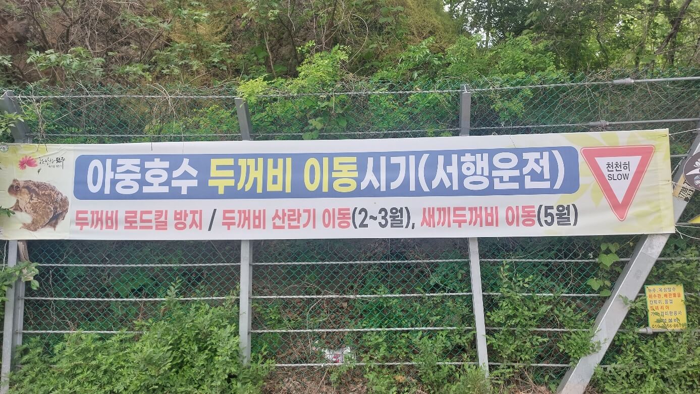 아중호수 두꺼비 로드킬방지 알림 현수막
