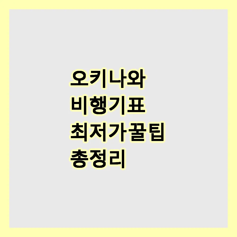 오키나와 비행기표 최저가 꿀팁 총정리