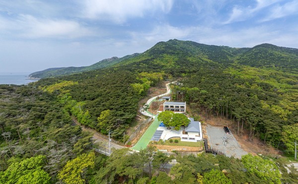 울창한 해송들이 어우러진 해양형 자연휴양림 풍경