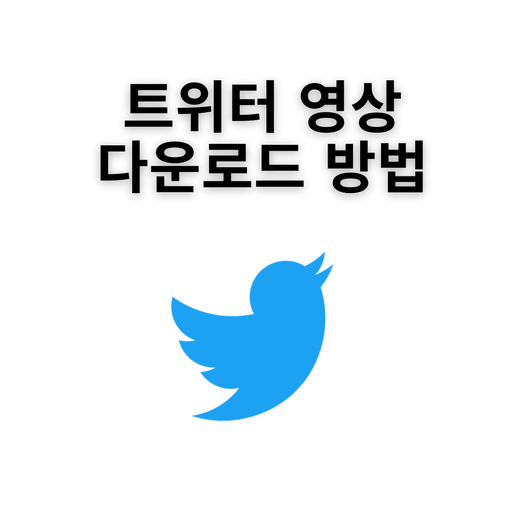 트위터 동영상 다운로드 방법