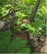 화담숲 예약 할인