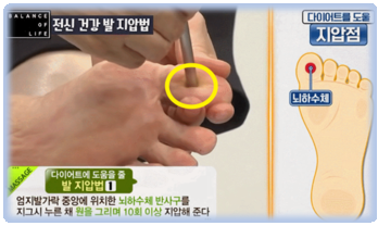 뇌하수체 지압법