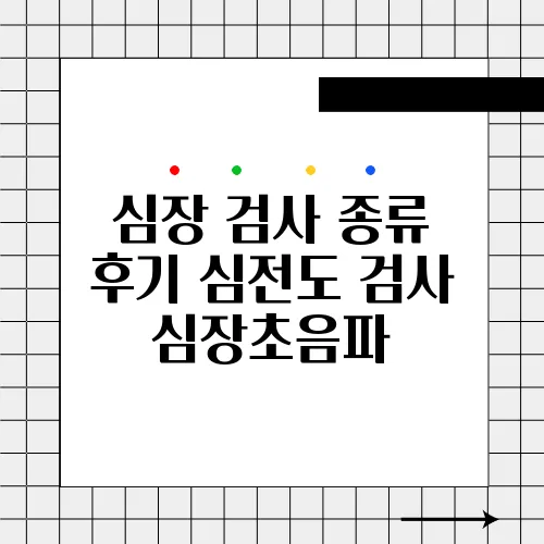 심장 검사 종류 후기 심전도 검사 심장초음파