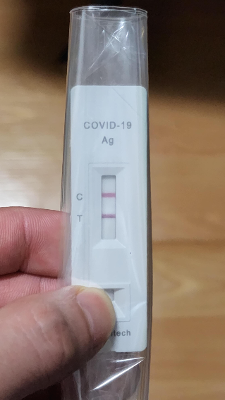 코로나 홈 테스트