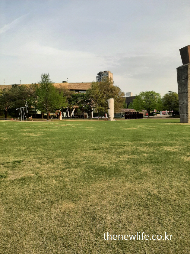 A wide grassy field at Olympic Park in Seoul-서울 올림픽공원의 맨발걷기가 가능한 잔디밭 풍경