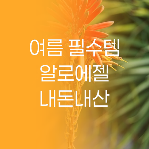 여름 필수템! 홀리카홀리카 알로에 수