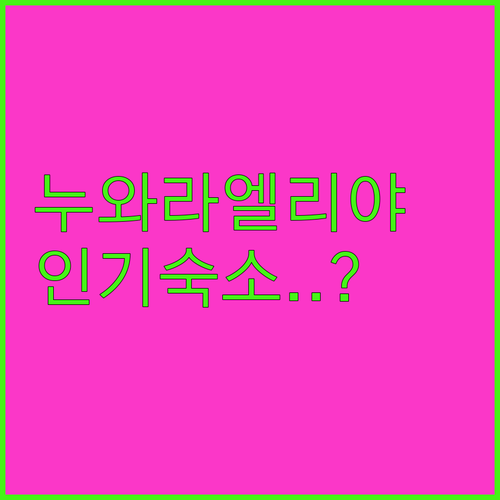 가족 여행과 커플 여행에 딱 맞는 누..