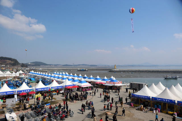 서천 동백꽃 주꾸미축제