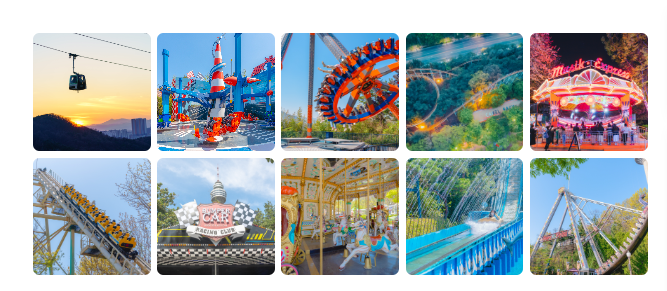 대구 이월드 벚꽃 축제 국내 최대 야간 벚꽃 명소