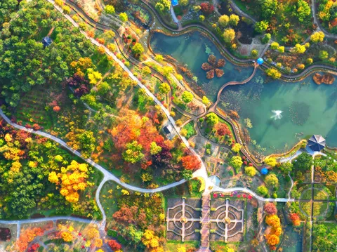 나는 빛나는 별처럼 느꼈습니다 한밭수목원 클레마티스 전시회 관람기_1