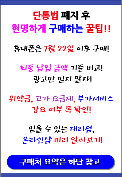 단통법 폐지 시행일 '2025년 7월22일'…0원폰 시대 돌아올까?
